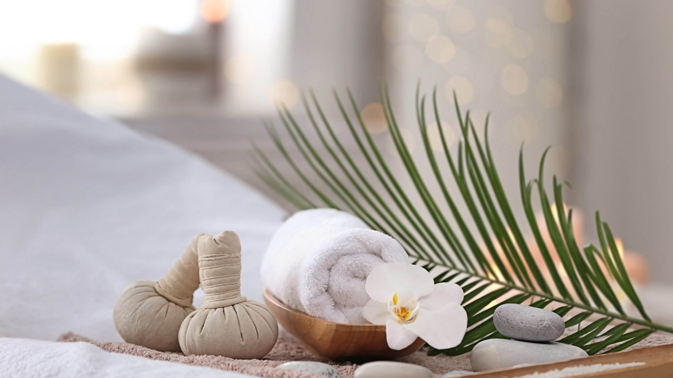 Herbal Ayurvedic Wellness Spa